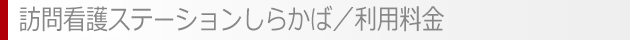 訪問看護ステーションしらかば／利用料金